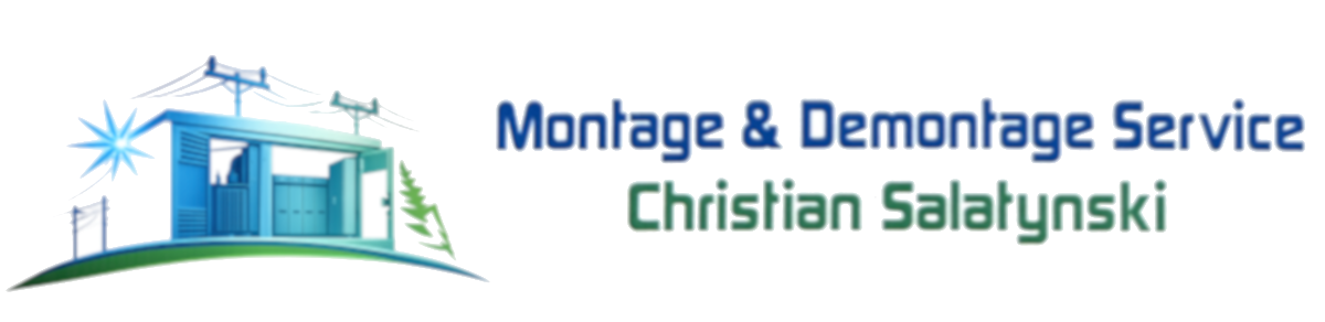 Salatynski Service Logo